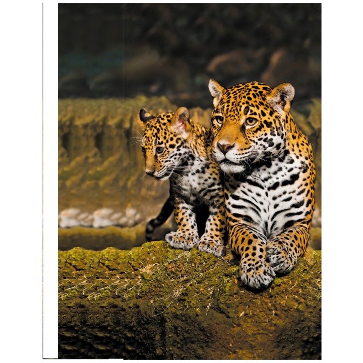 Панно из ПВХ-панелей с цифровой печатью Леопард