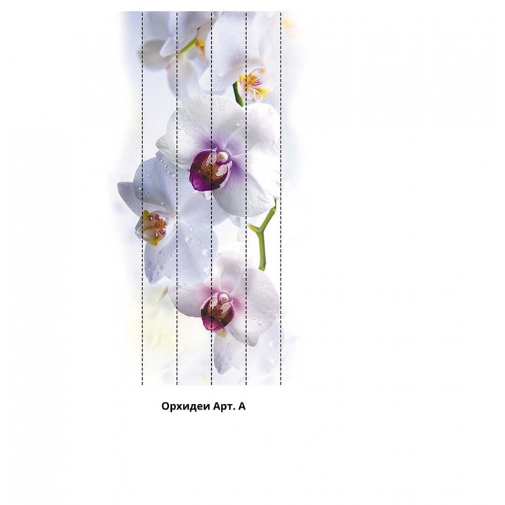 Панно из ПВХ-панелей с цифровой печатью Орхидеи